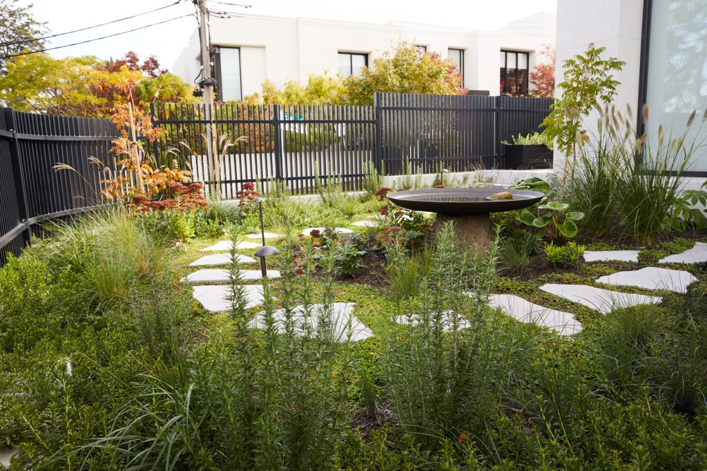 Stepping stones winding through layered planting in the Kew Curve garden